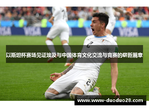 以斯坦杯赛场见证埃及与中国体育文化交流与竞赛的崭新篇章